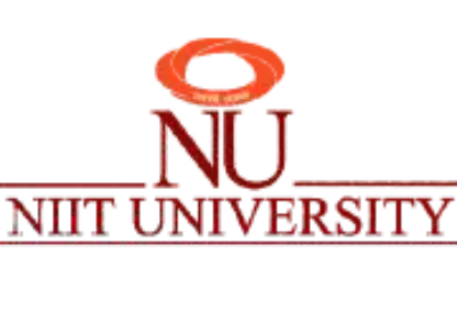 NIIT University